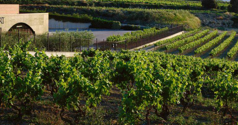 Llopar winery